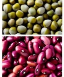 Confezionamento Legumi